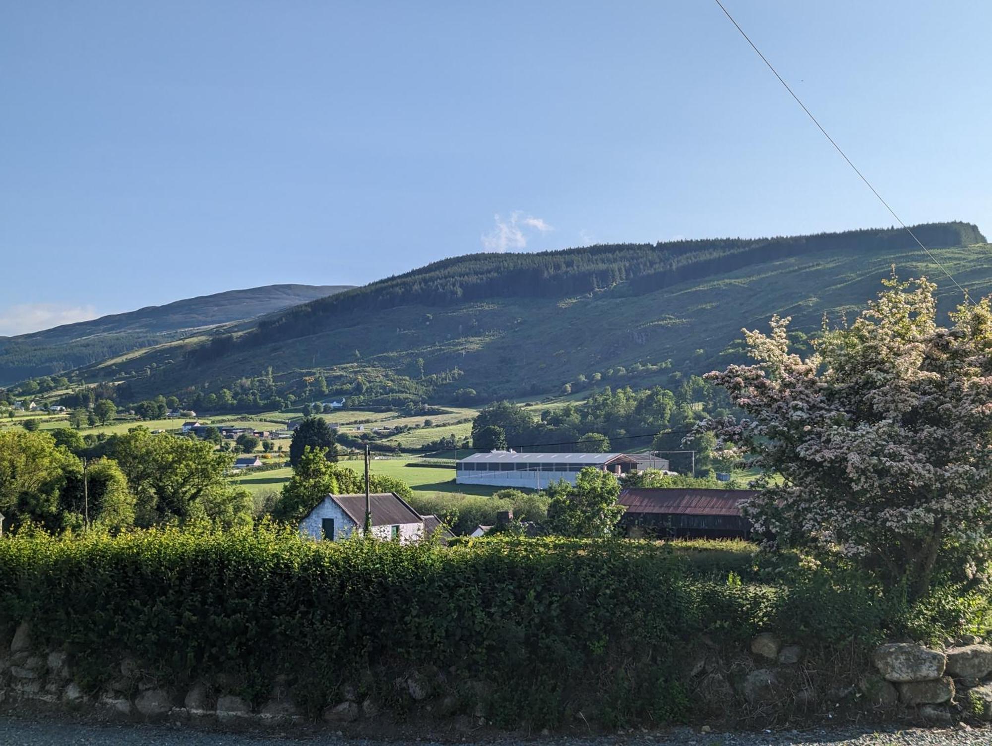 Killeavy Cottage Meigh エクステリア 写真