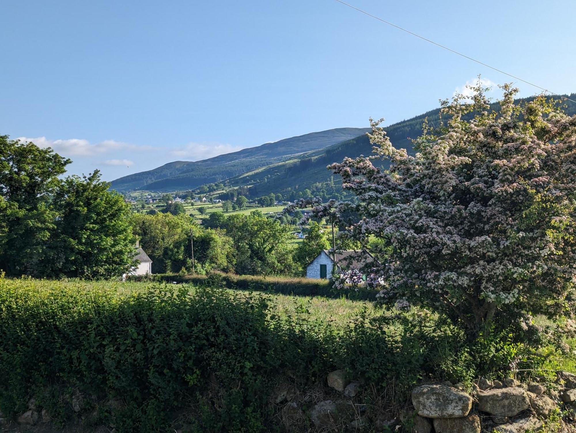 Killeavy Cottage Meigh エクステリア 写真