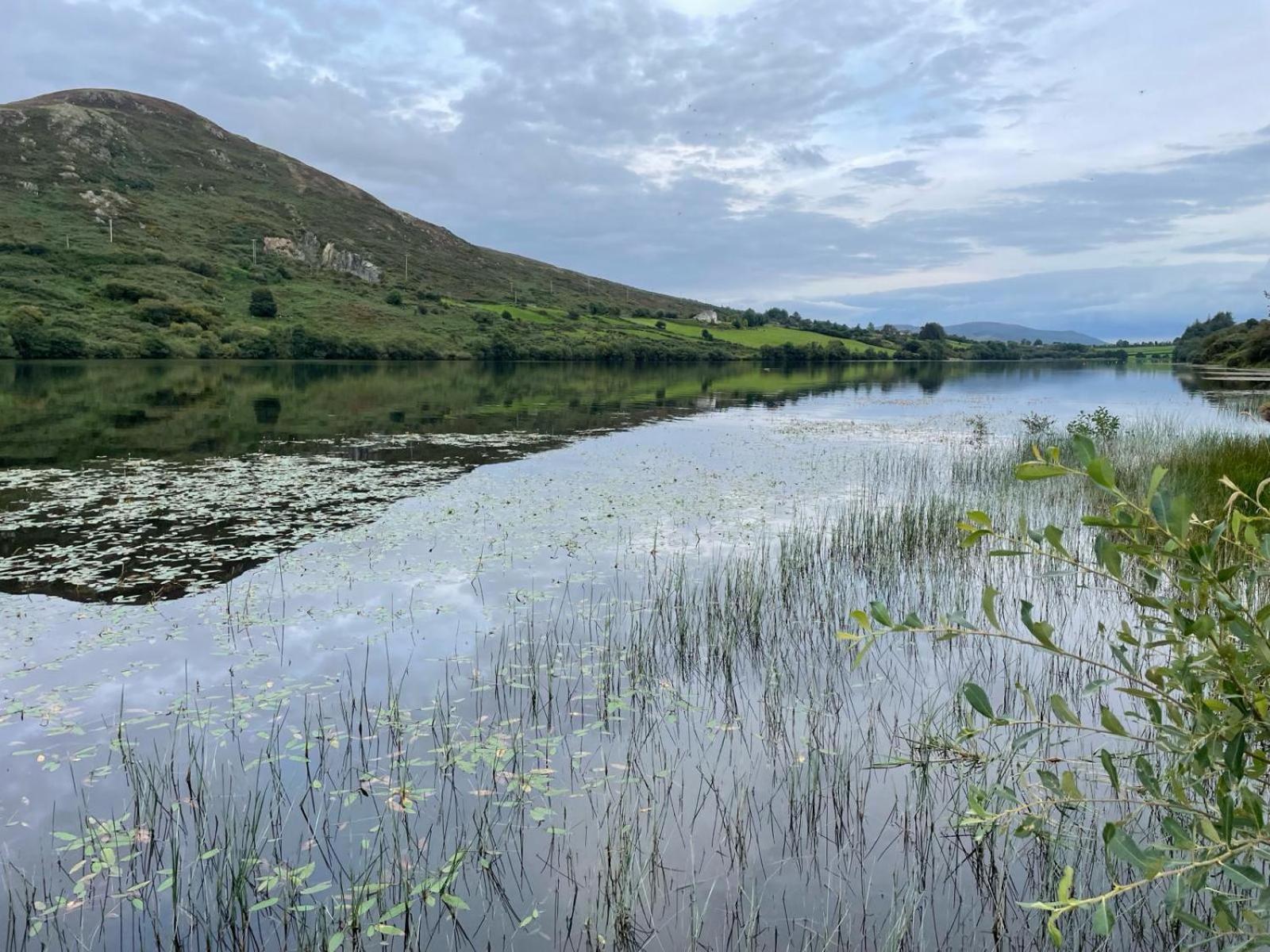 Killeavy Cottage Meigh エクステリア 写真