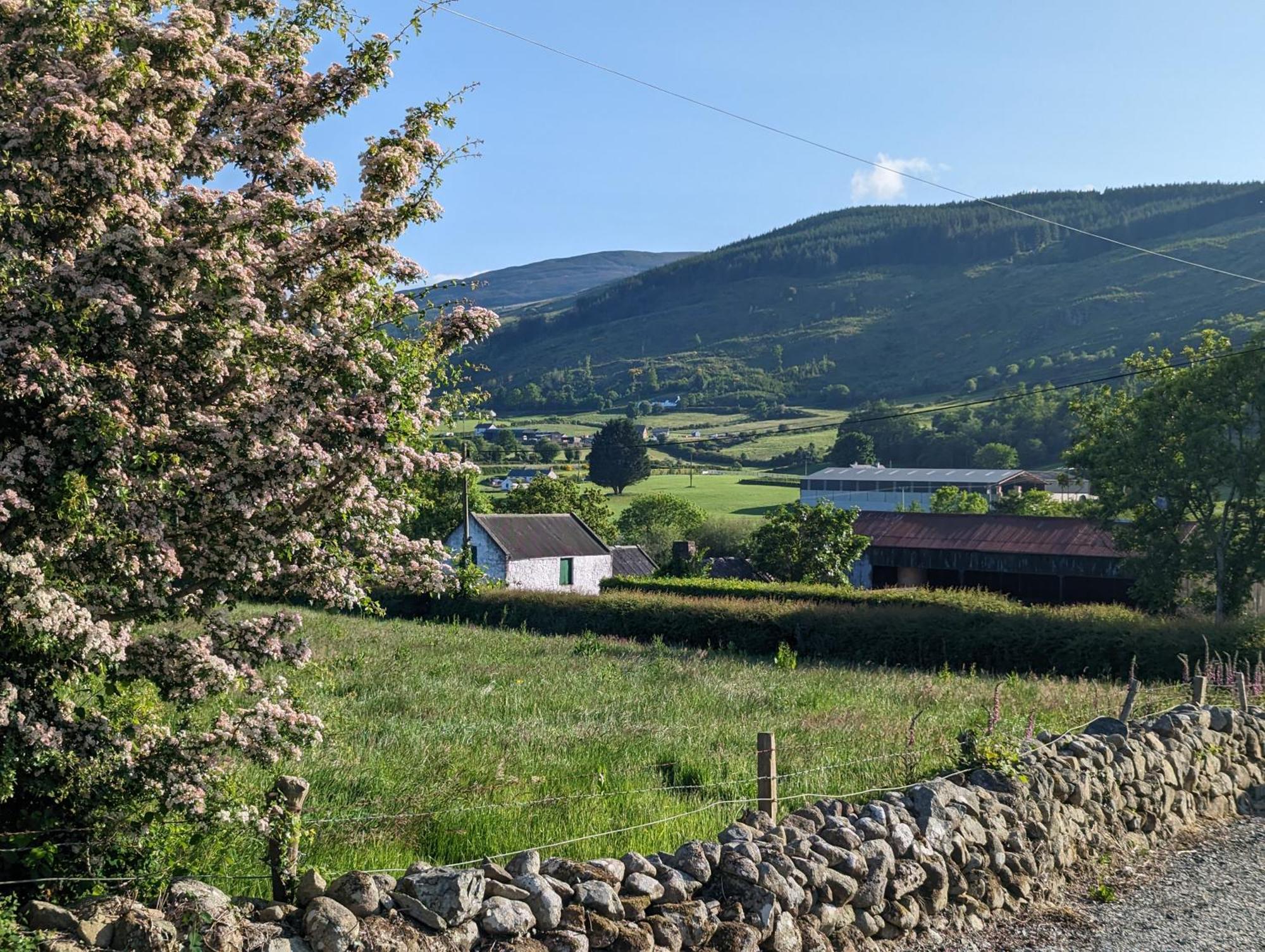 Killeavy Cottage Meigh エクステリア 写真