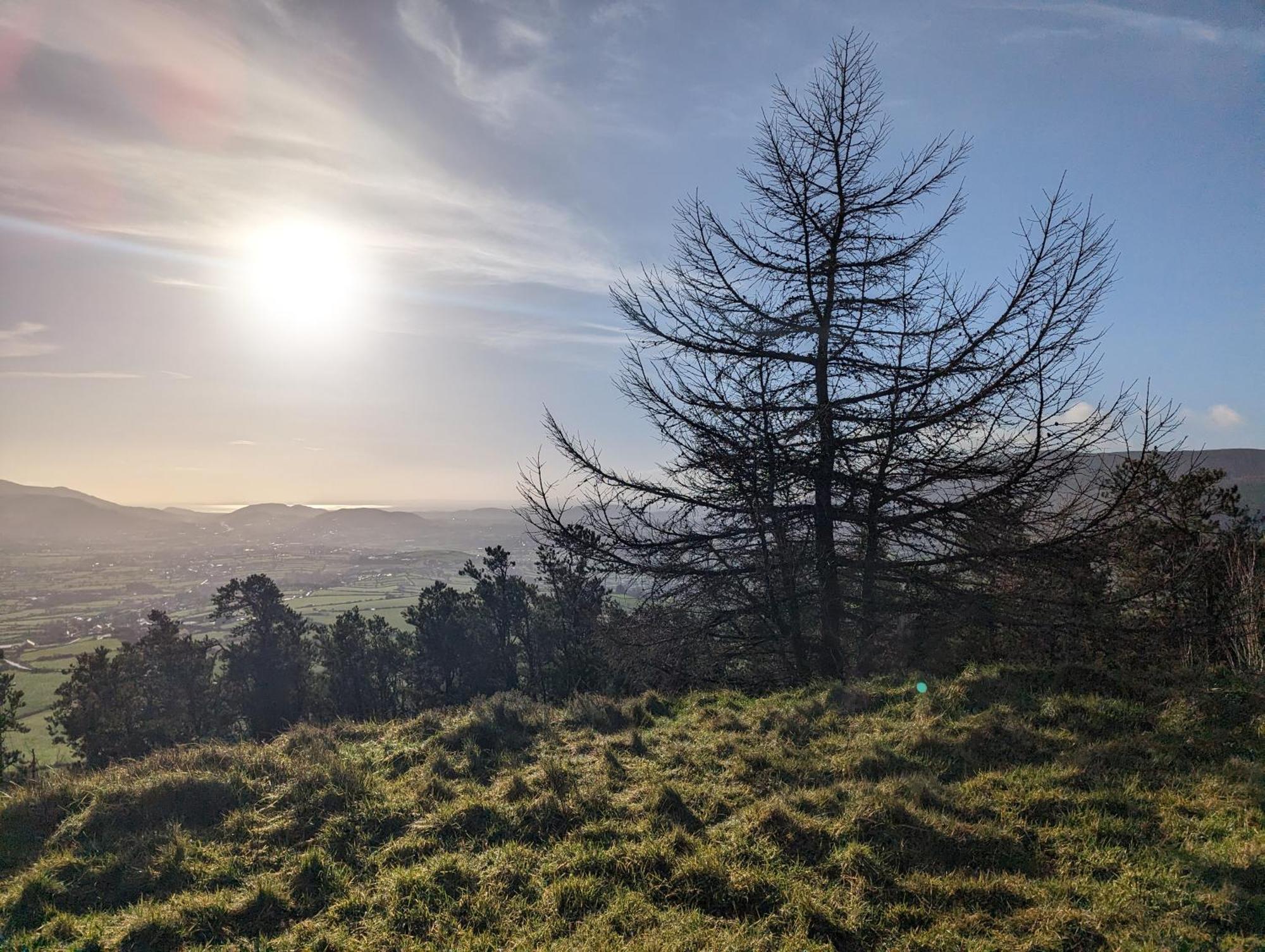 Killeavy Cottage Meigh エクステリア 写真