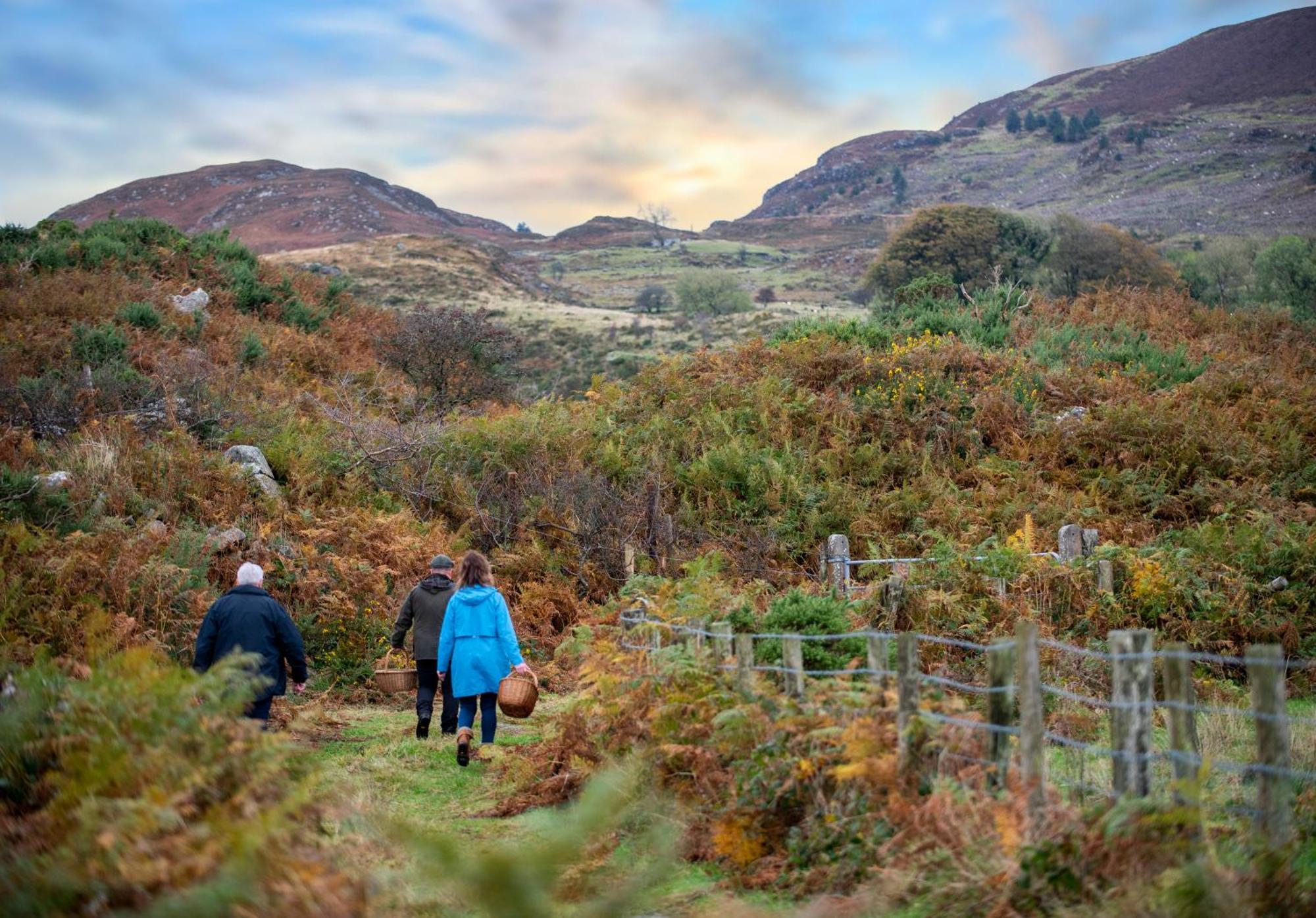 Killeavy Cottage Meigh エクステリア 写真