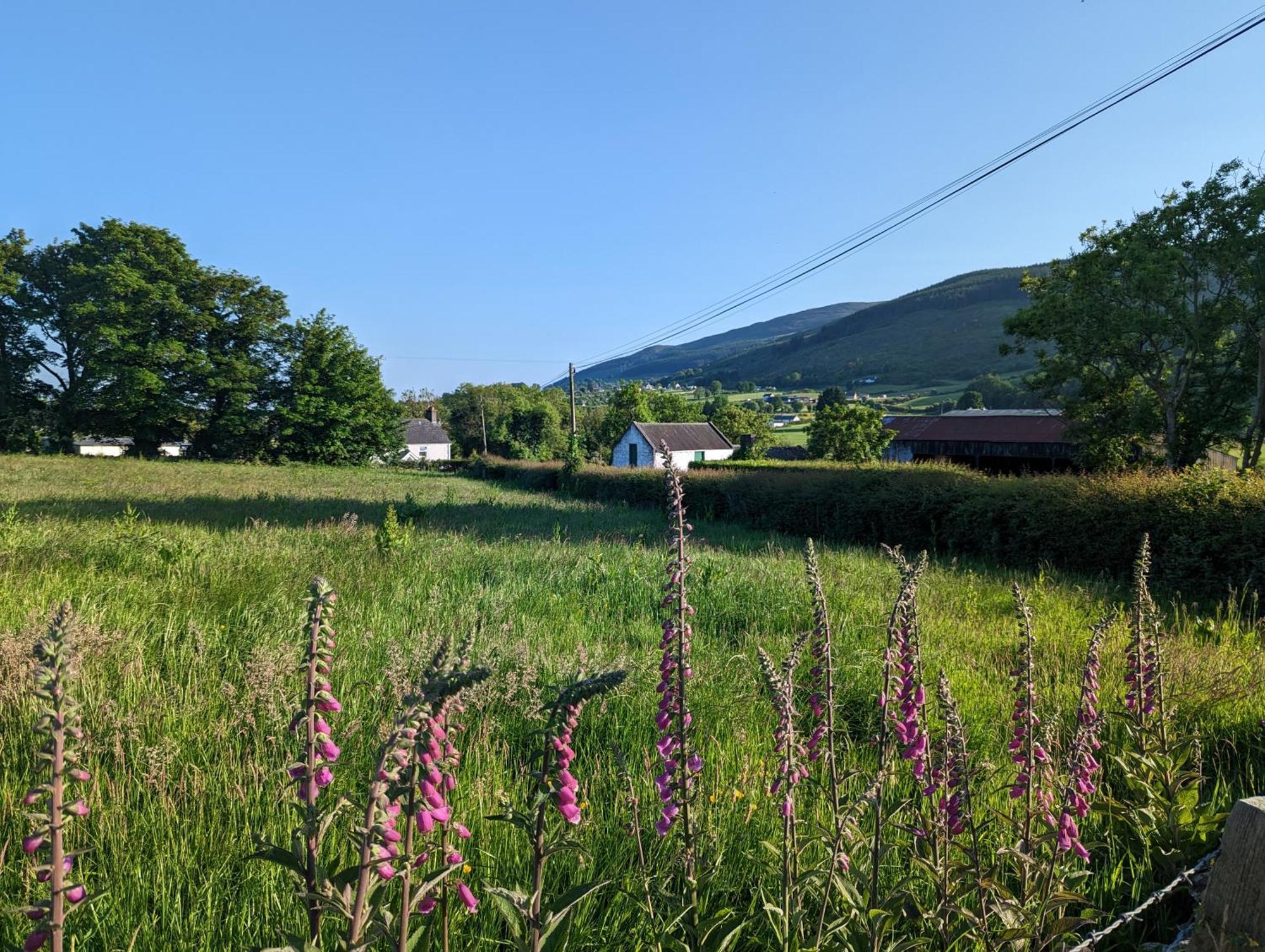 Killeavy Cottage Meigh エクステリア 写真